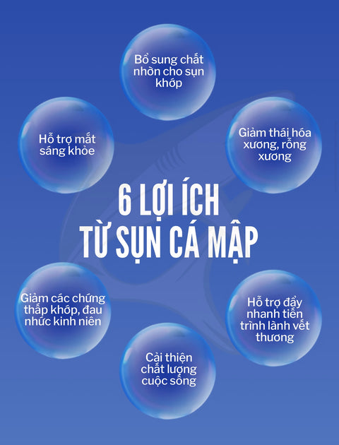 Shark Cartilage - Sụn Cá Mập | Mua 5 Tặng 2