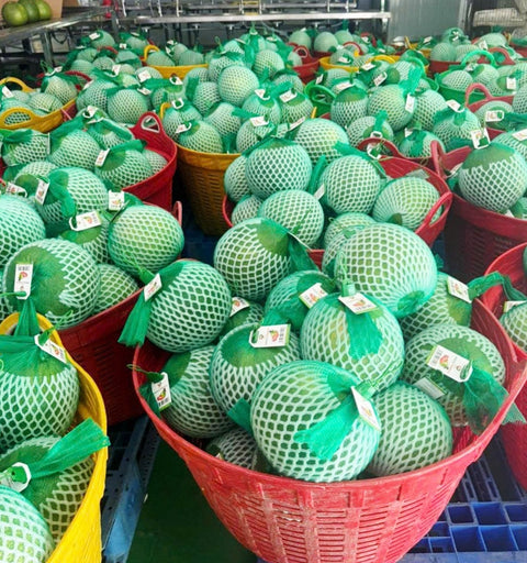 Bưởi Da Xanh Bến Tre Ruột Đỏ | 1 Box