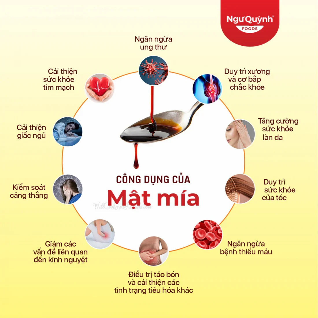 Mật Mía - Molasses