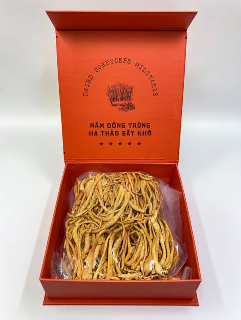 Nấm Đông Trùng Hạ Thảo Hộp Cam - Dried Cordyceps Militaris 50g [NAM02]