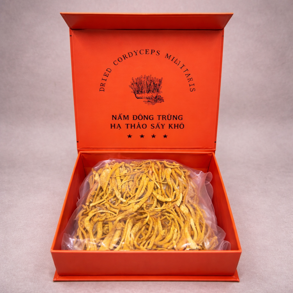 Nấm Đông Trùng Hạ Thảo Hộp Cam - Dried Cordyceps Militaris 50g [NAM02]