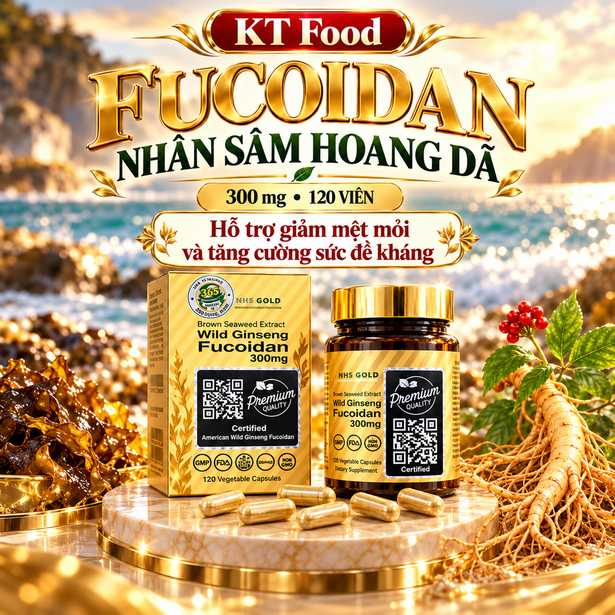 Nhân Sâm Hoang Dã -Wild Ginseng Fucoidan 300mg